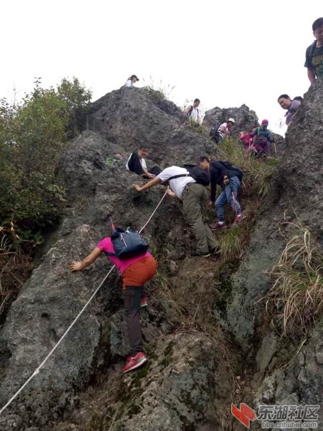 QQ图片20161028154637.jpg