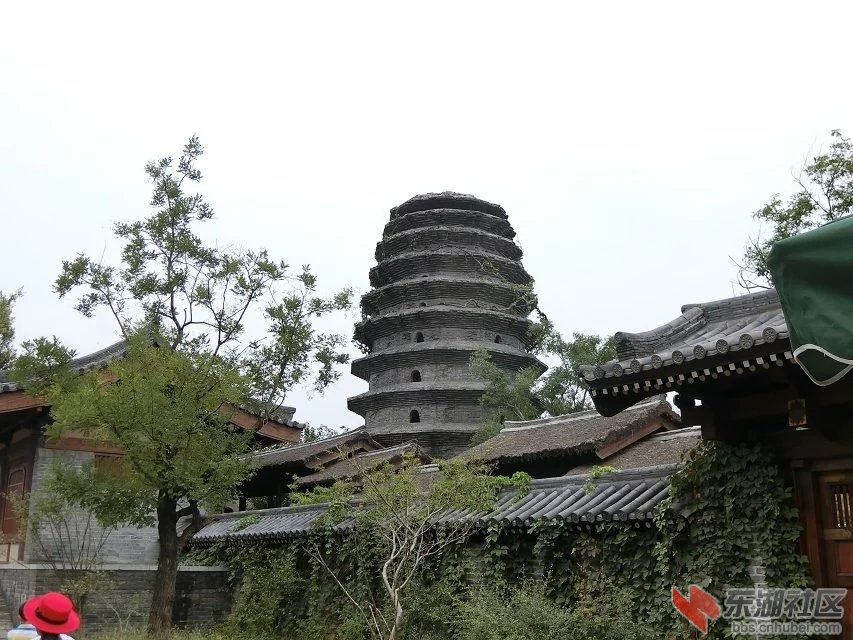 CIMG0501.jpg