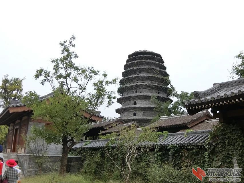 CIMG0502.jpg