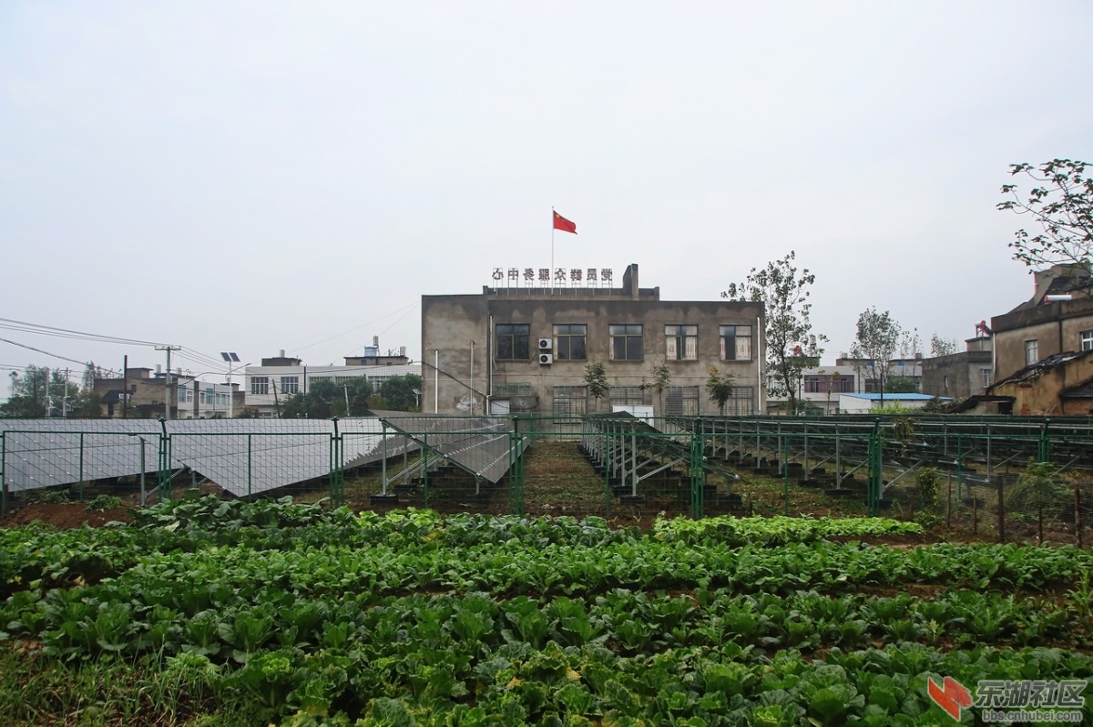 IMG_4394.JPG