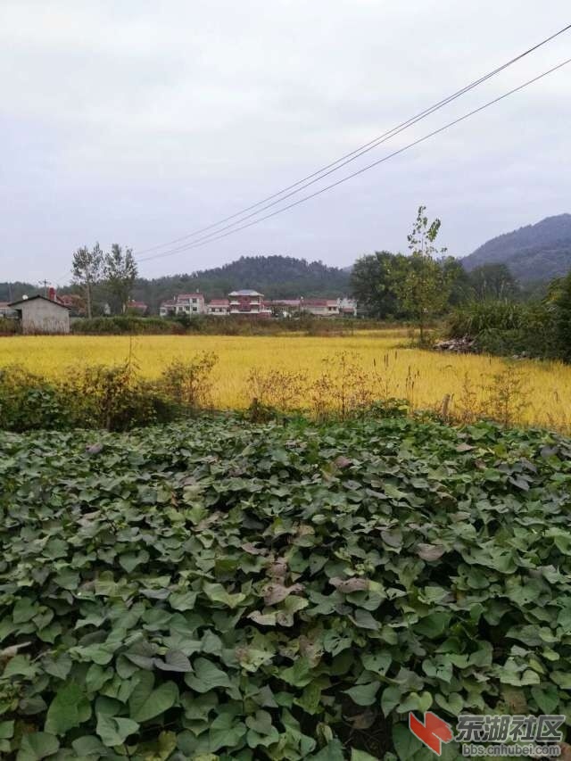 QQ图片20161030195925.jpg