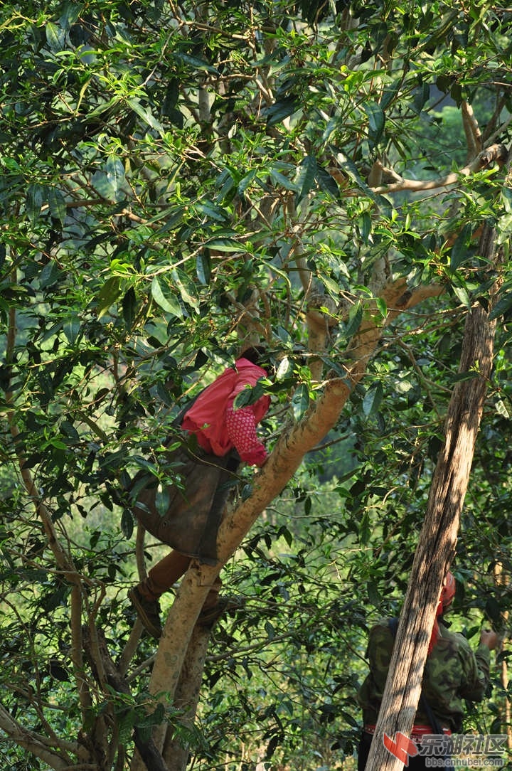 DSC_2400.JPG