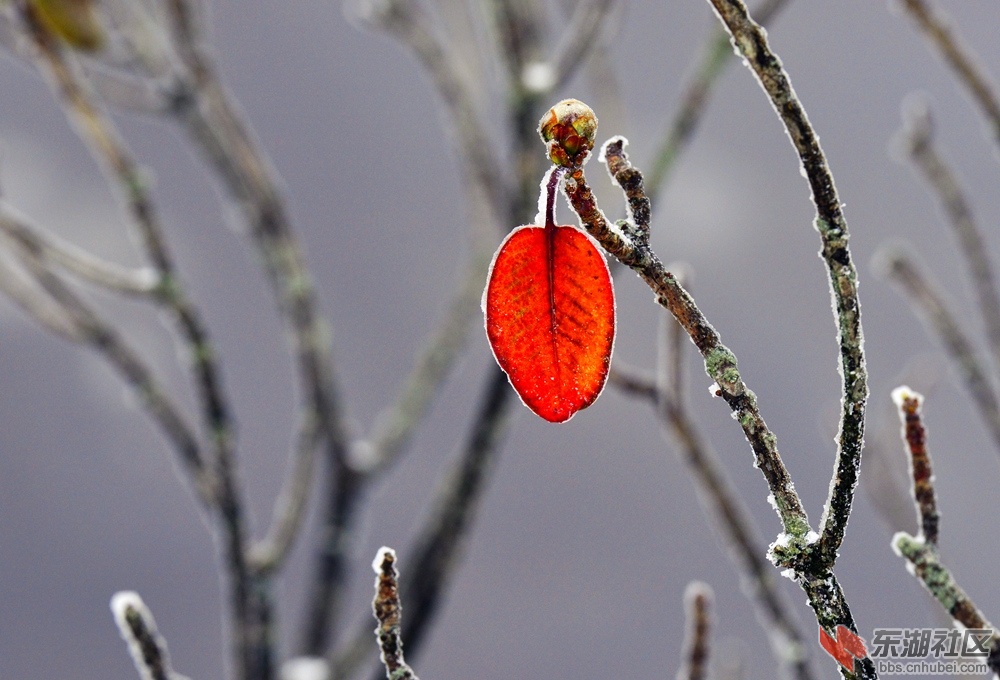 _DSC0730_副本.jpg