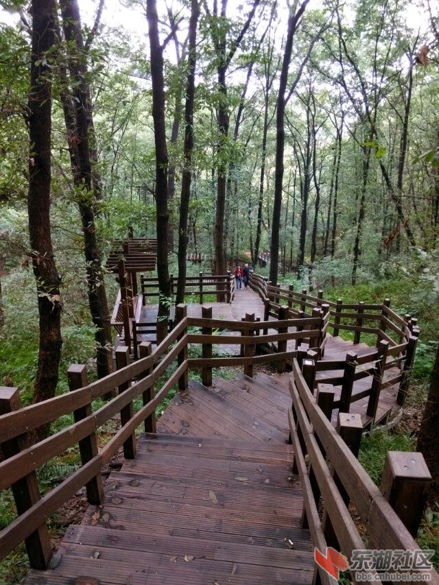虎头山栈道3.jpg