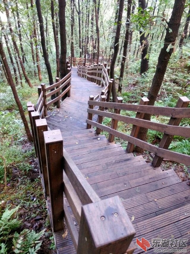 虎头山栈道4.jpg