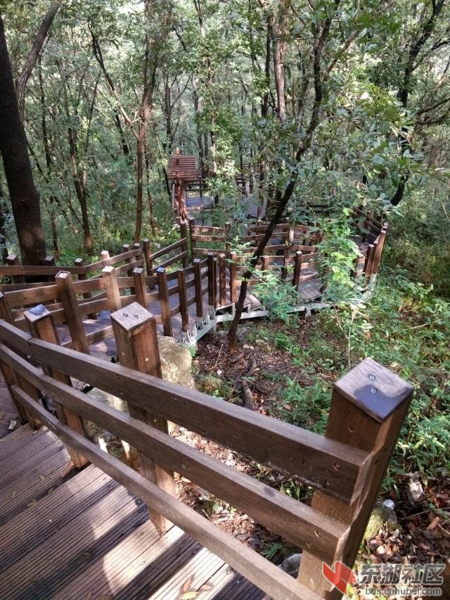 虎头山栈道6.jpg