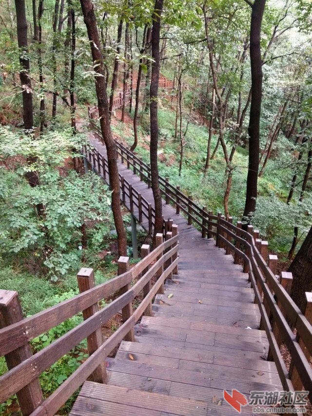 虎头山栈道2.jpg
