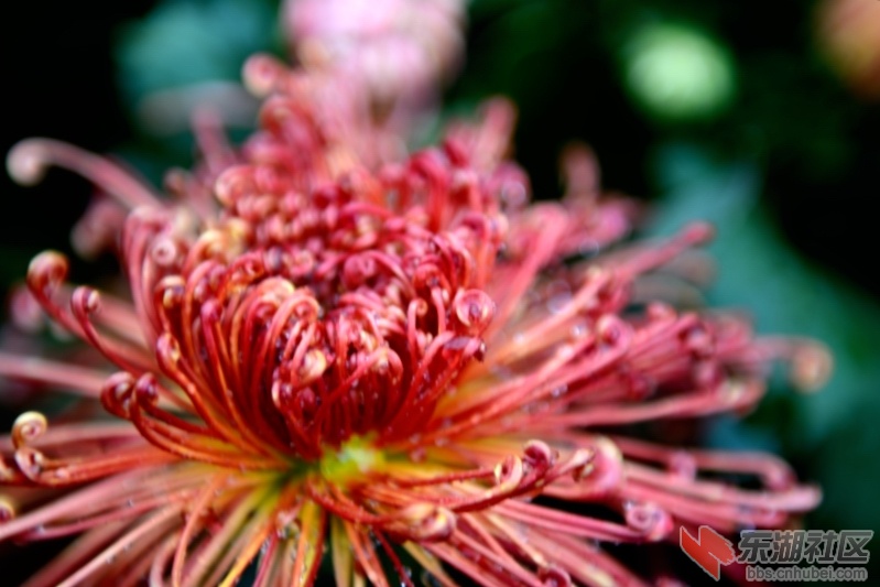 DSC_2979.JPG