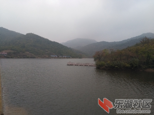 IMG_20161031_171745.jpg