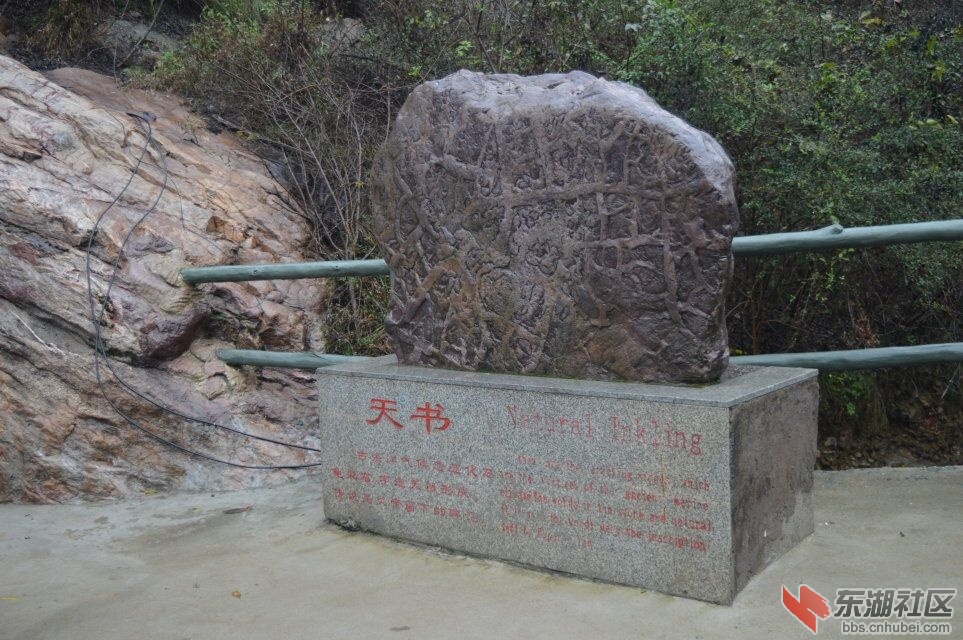 QQ图片20161102190440.jpg