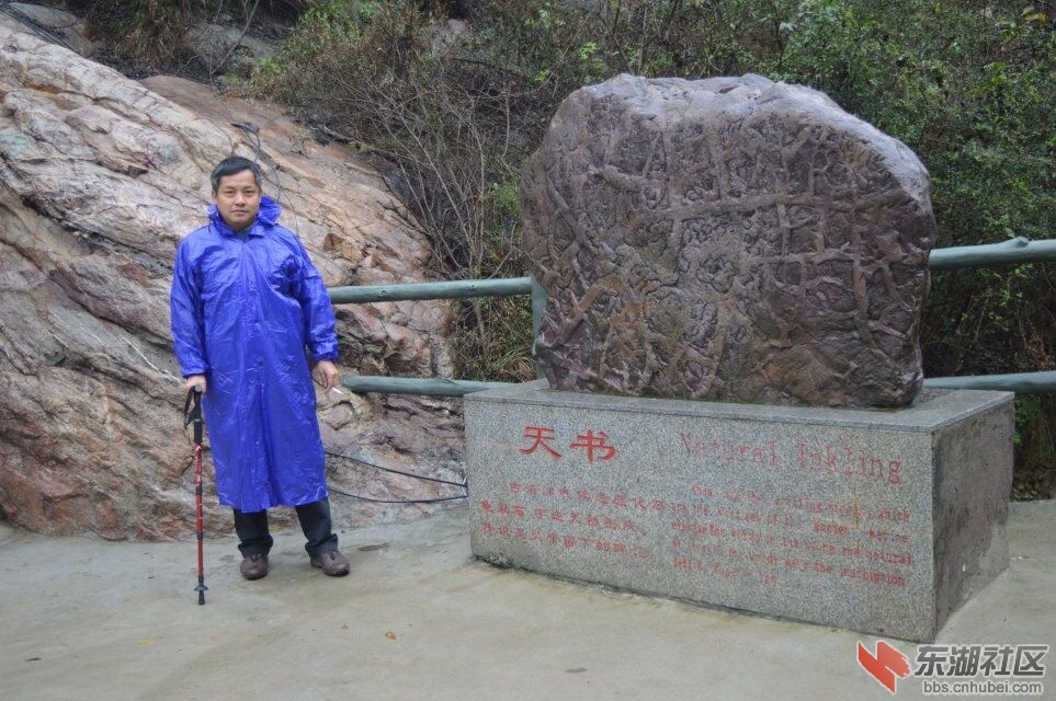 QQ图片20161102190446.jpg