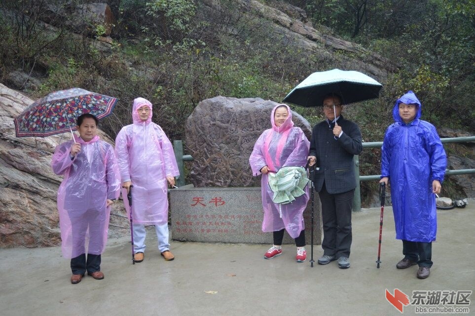 QQ图片20161102190458.jpg
