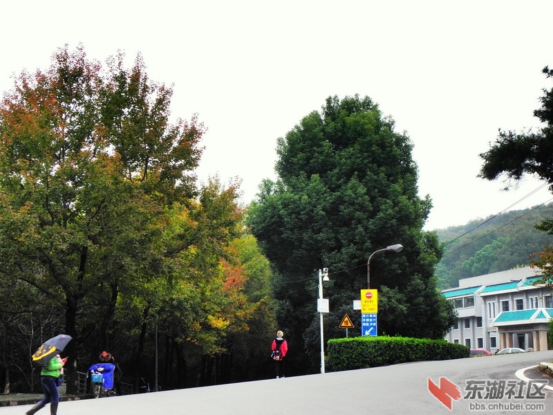 P1010591_调整大小.JPG
