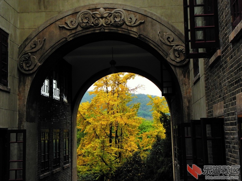 P1010606_调整大小.JPG