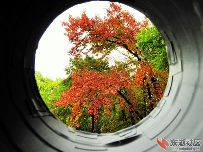 P1010759_调整大小.JPG