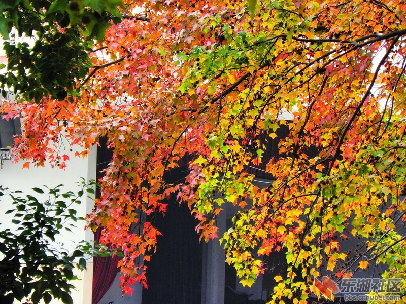 P1010803_调整大小.JPG
