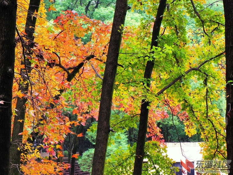 P1010825_调整大小.JPG