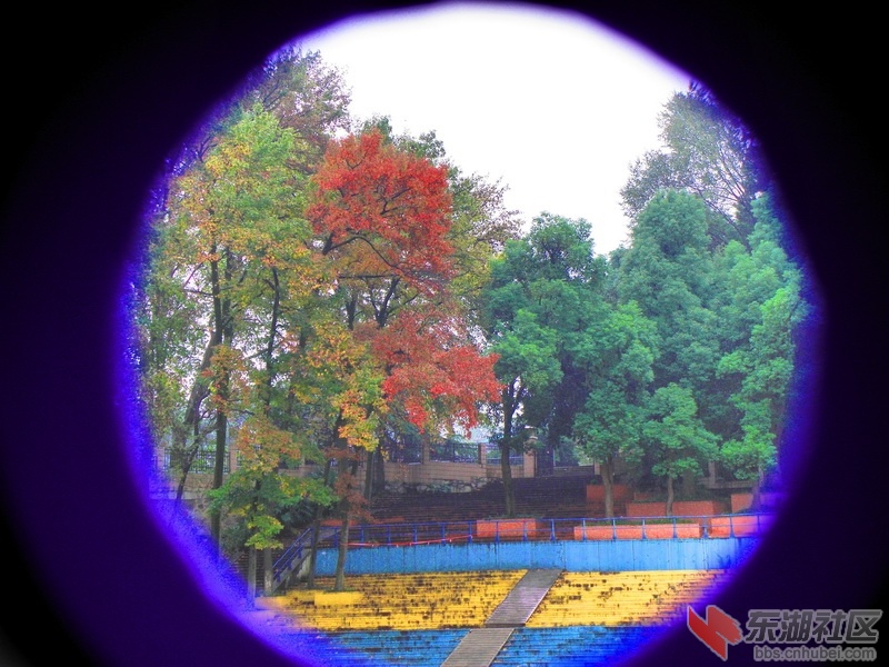 P1020945_调整大小.JPG
