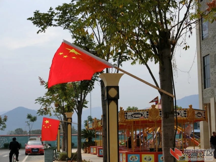 CIMG0823.jpg