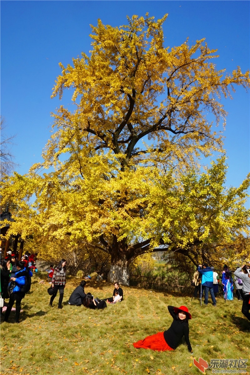 DSC04531.JPG
