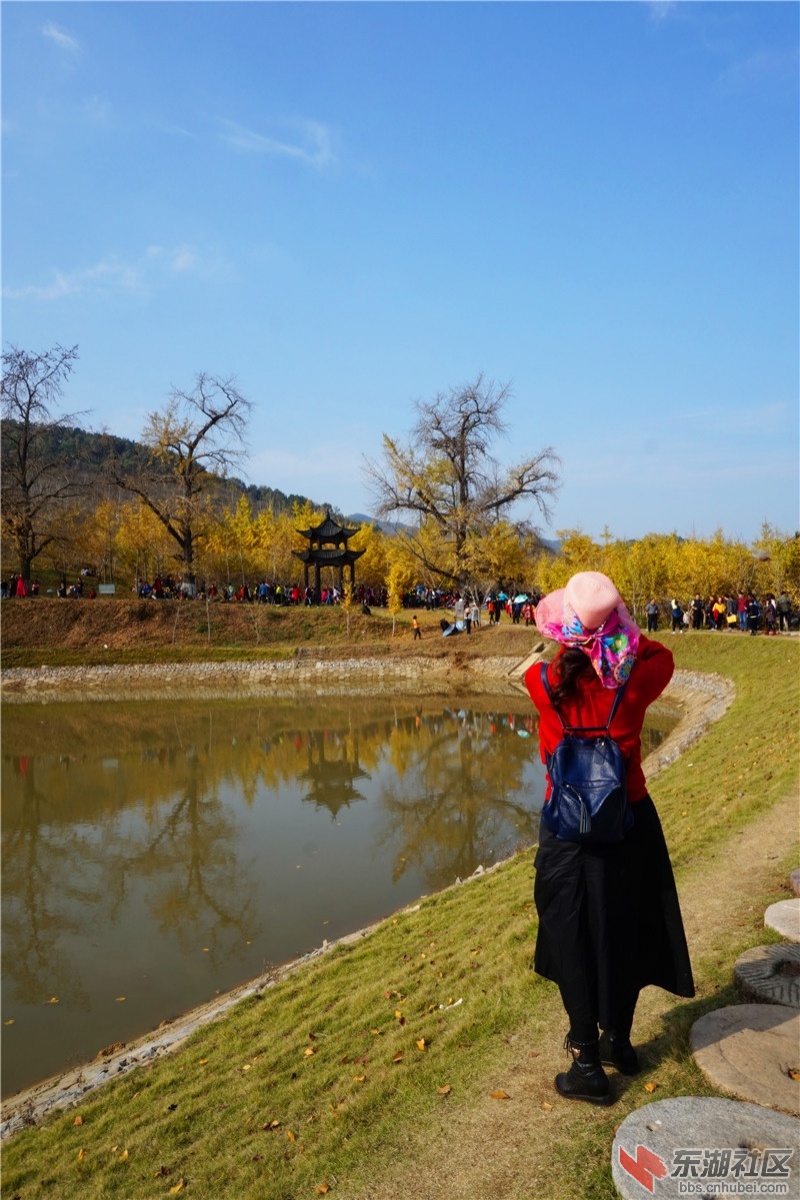 DSC04712.JPG