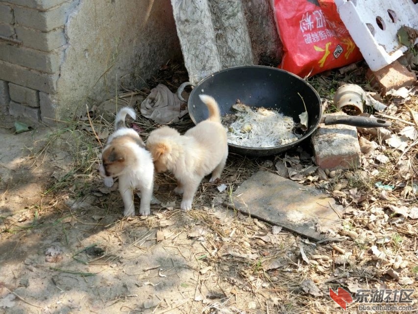 CIMG0890.jpg