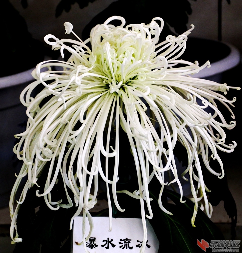 IMG_3934副本.jpg