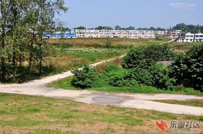 彭市镇街头的风景3kk2_jpg_thumb.jpg