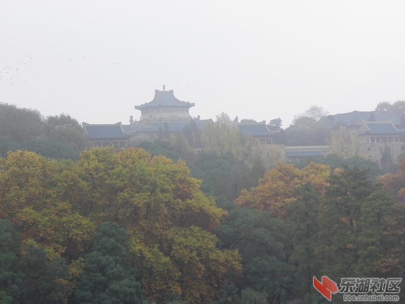 P1010152_调整大小.JPG