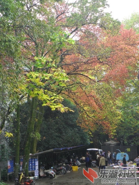 P1010149_调整大小.JPG