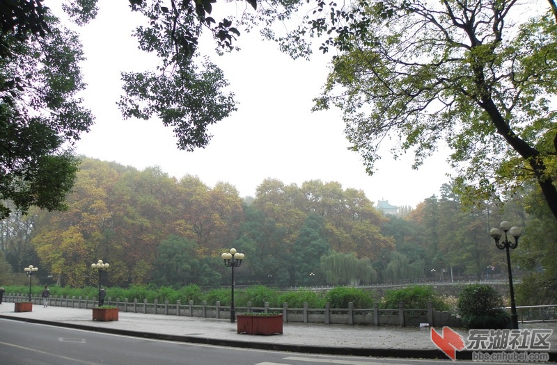 P1010166_调整大小.JPG