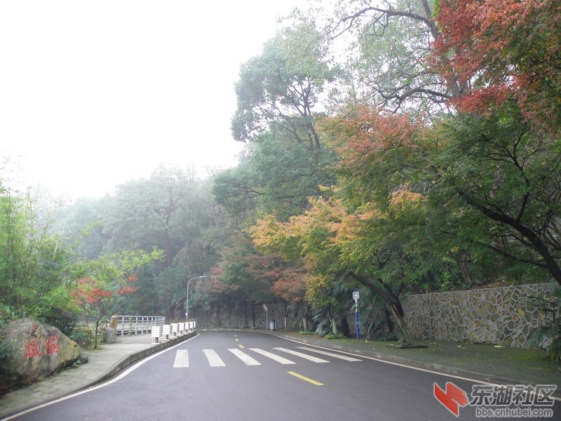 P1010177_调整大小.JPG
