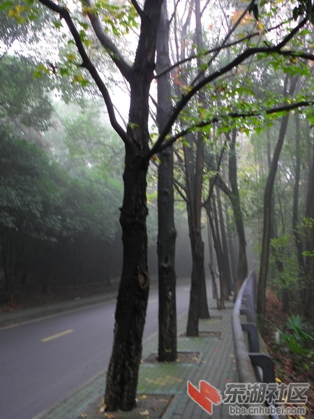 P1010229_调整大小.JPG