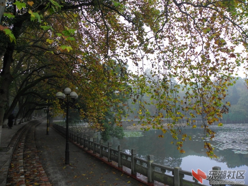 P1010252_调整大小.JPG