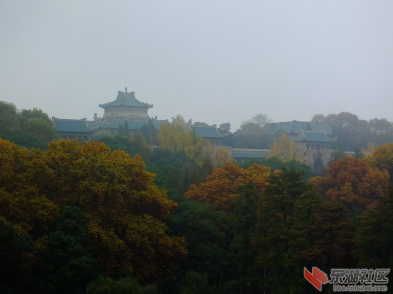 DSCF3283_调整大小.JPG