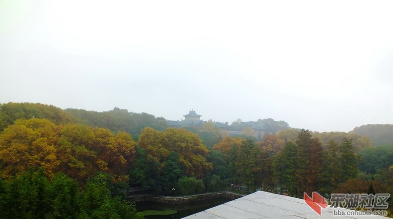 DSCF3284_调整大小.JPG