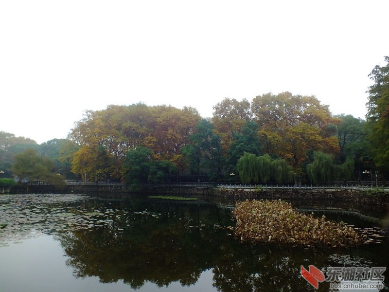DSCF3300_调整大小.JPG