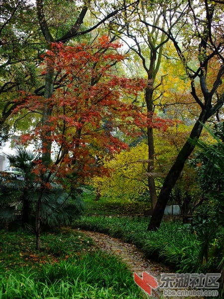 DSCF3301_调整大小.JPG
