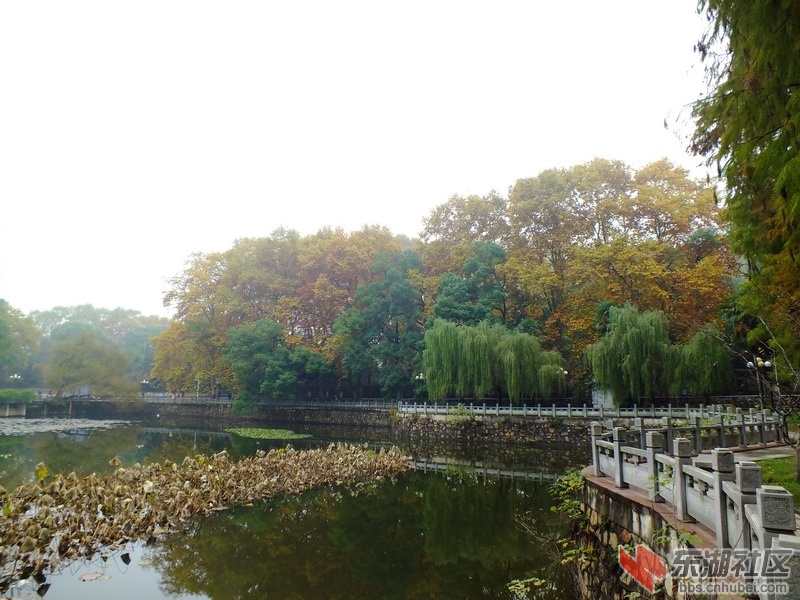 DSCF3304_调整大小.JPG