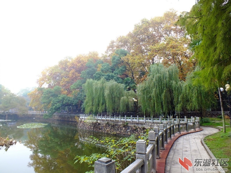 DSCF3308_调整大小.JPG