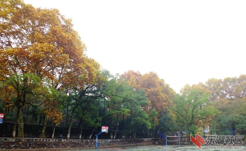 DSCF3309_调整大小.JPG