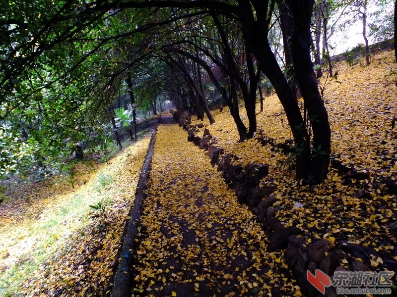 DSCF3332_调整大小.JPG