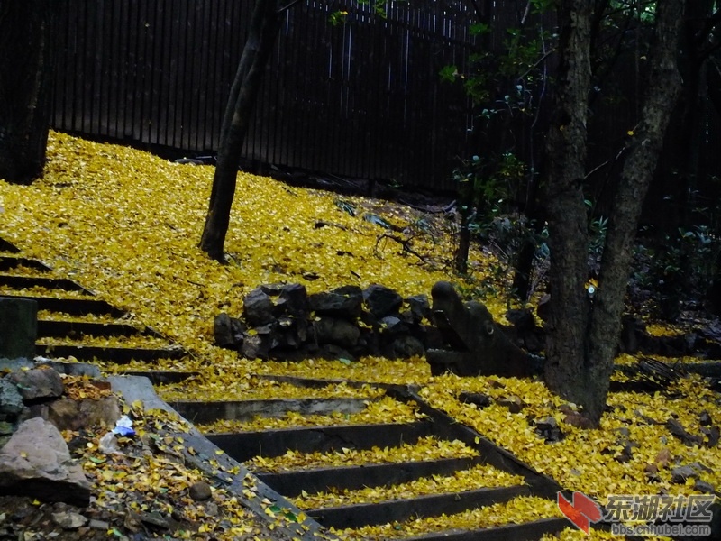 DSCF3358_调整大小.JPG
