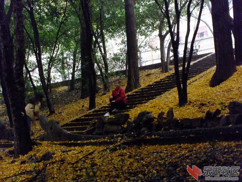 DSCF3383_调整大小.JPG
