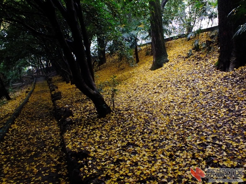 DSCF3385_调整大小.JPG