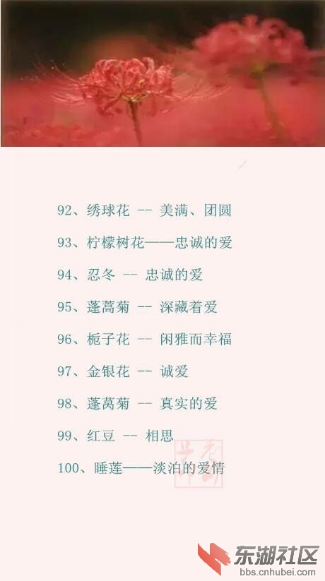 QQ图片20161119214421.jpg