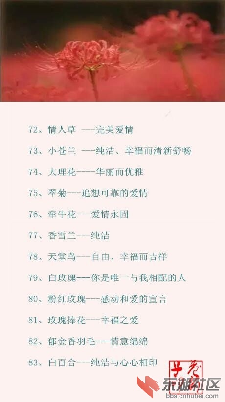 QQ图片20161119214417.jpg