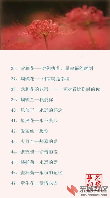 QQ图片20161119214413.jpg