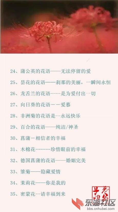 QQ图片20161119214405.jpg
