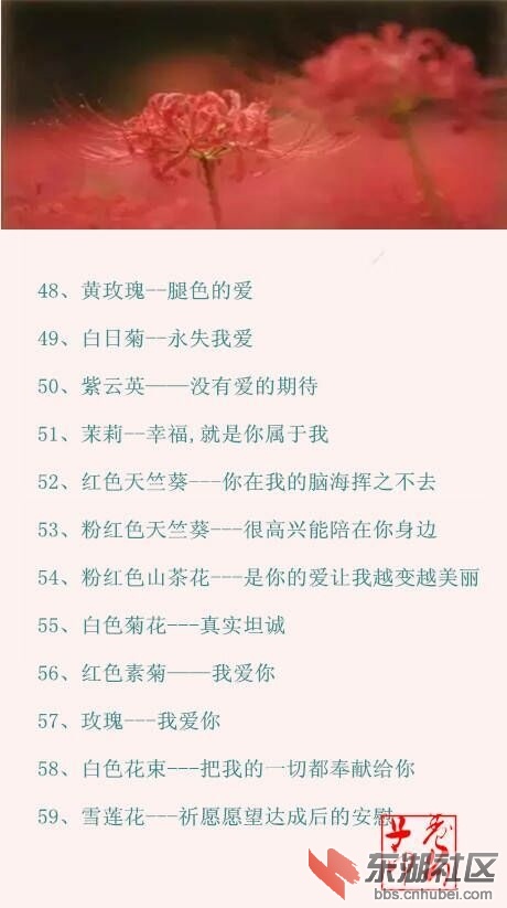 QQ图片20161119214409.jpg